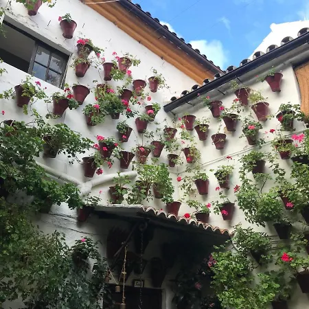Aroma De Azahar, En San Basilio Apartamento Córdova Exterior foto